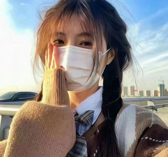 翼龙